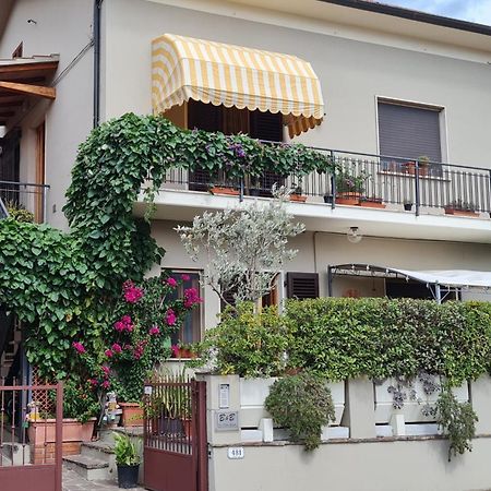 B&B Via Della Grotta Monsummano Terme Exteriör bild
